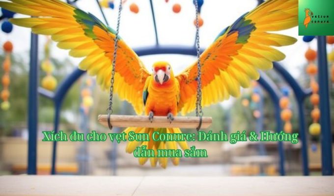 Xích đu cho vẹt Sun Conure: Đánh giá & Hướng dẫn mua sắm